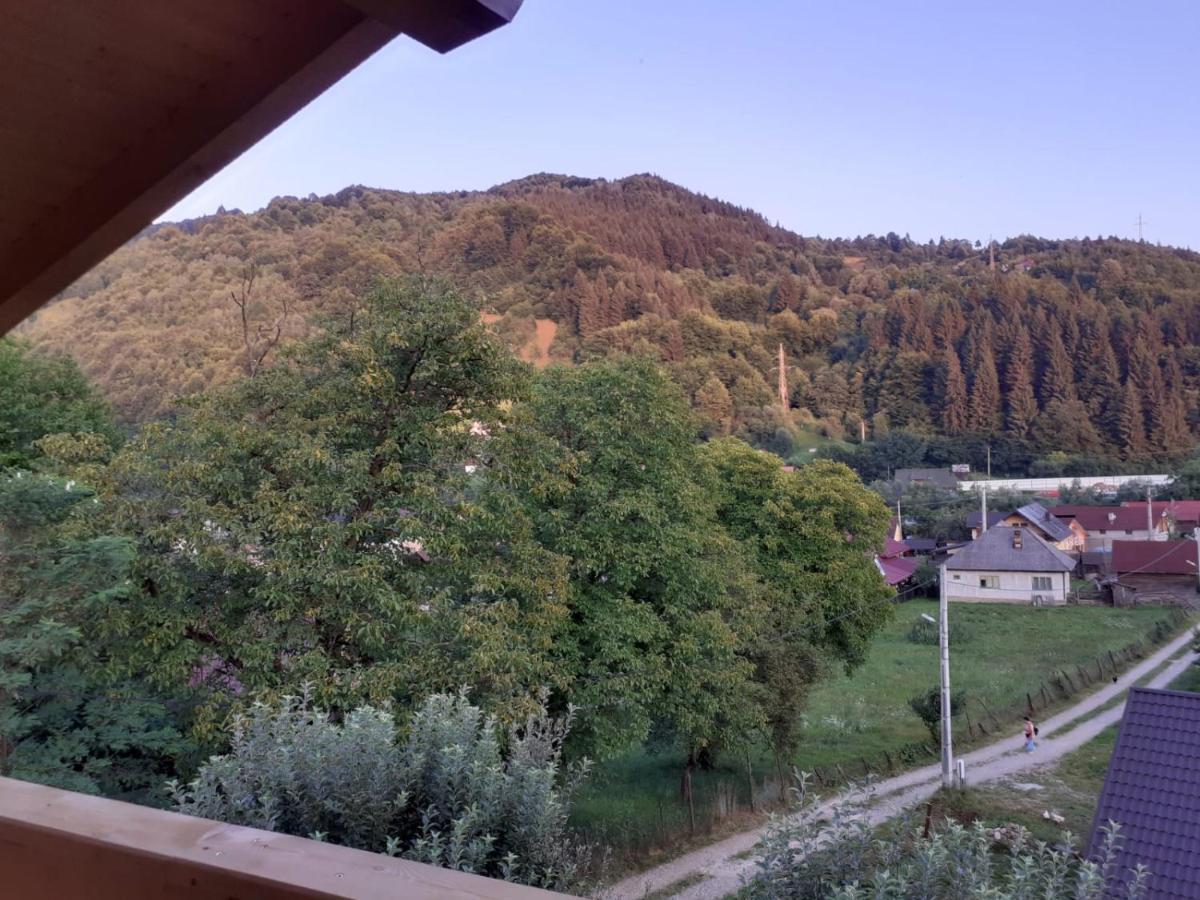 Casa Mara Viseu De Sus Hotel Екстериор снимка