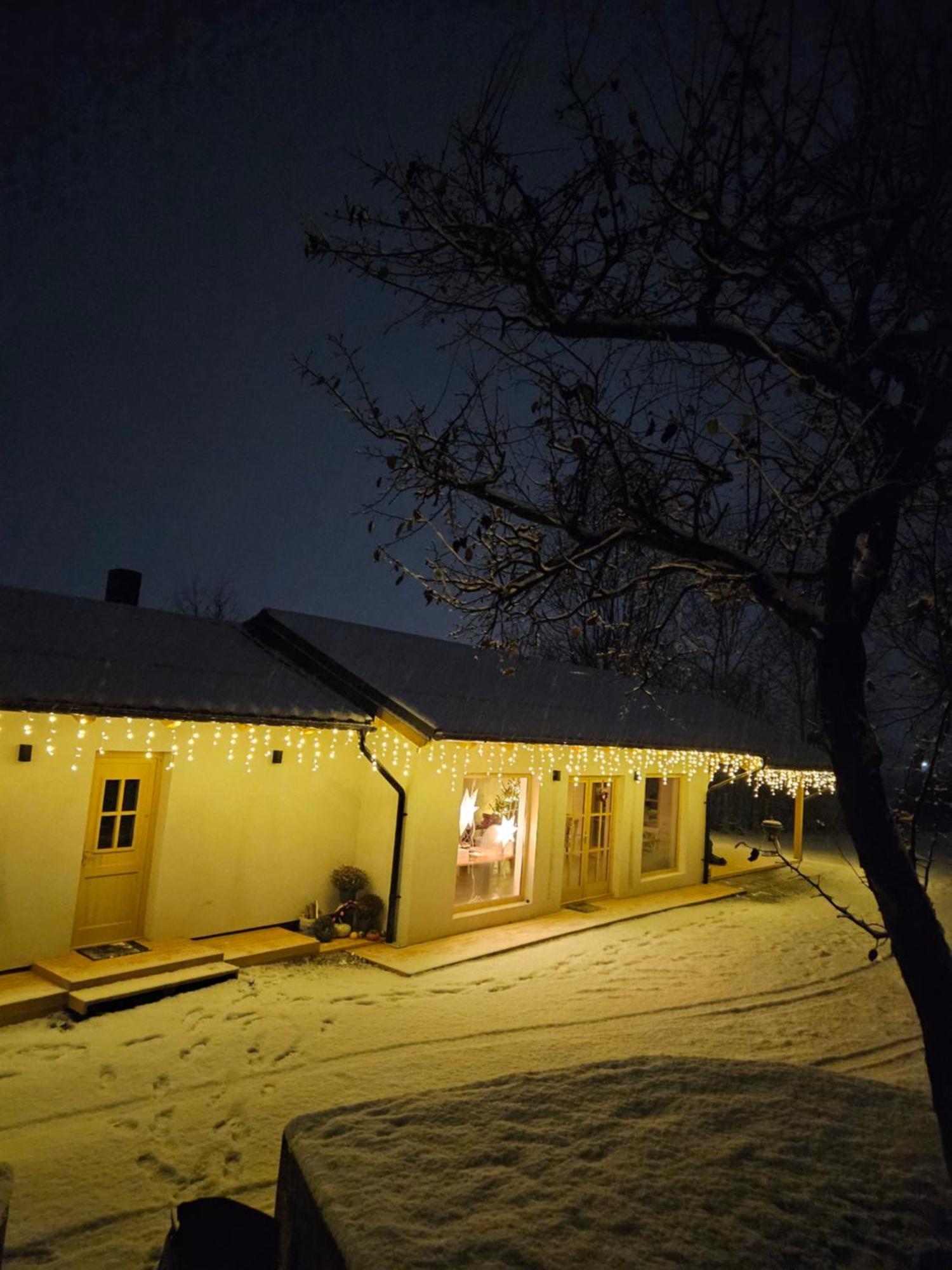 Casa Mara Viseu De Sus Hotel Екстериор снимка