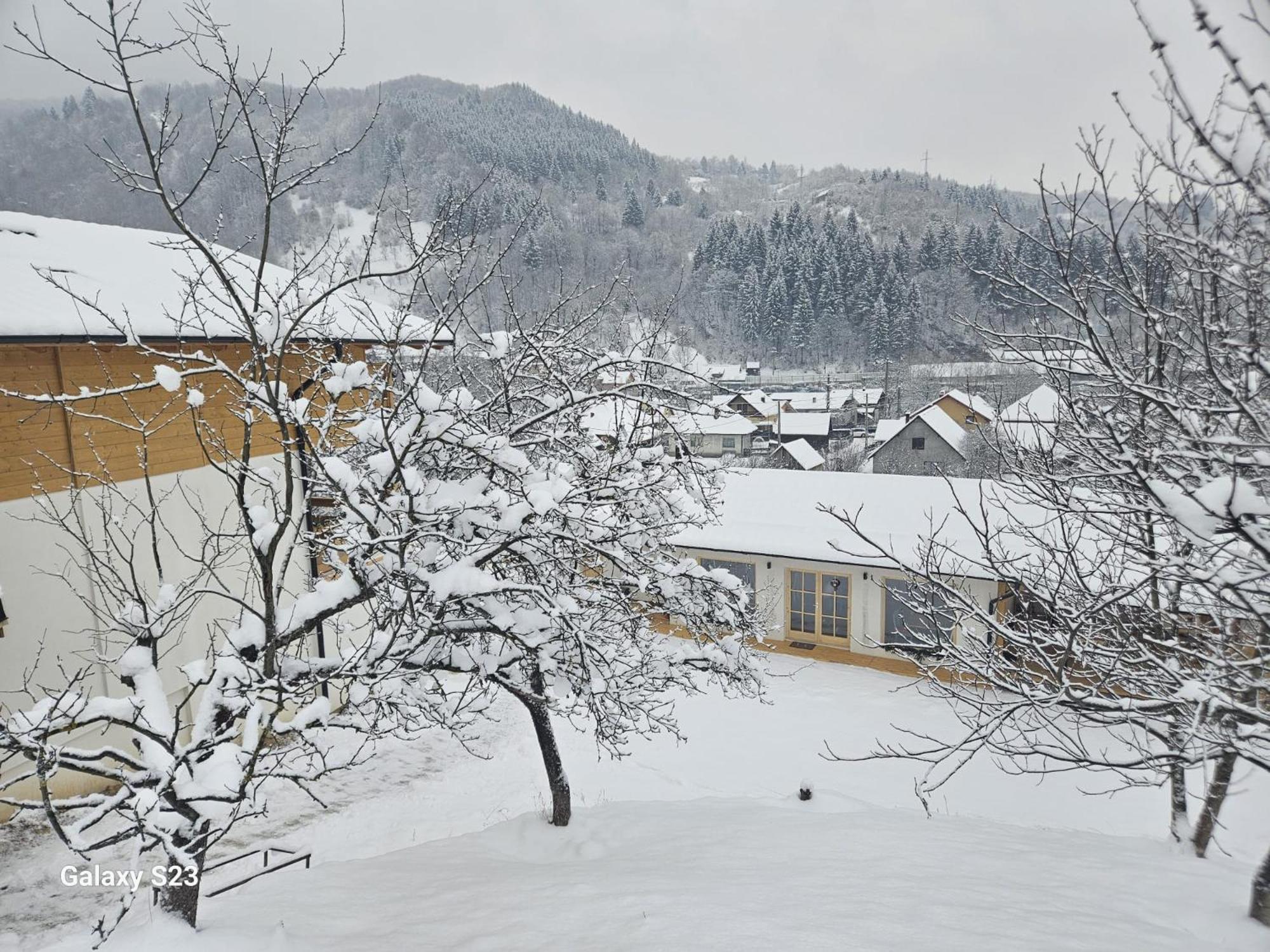 Casa Mara Viseu De Sus Hotel Екстериор снимка