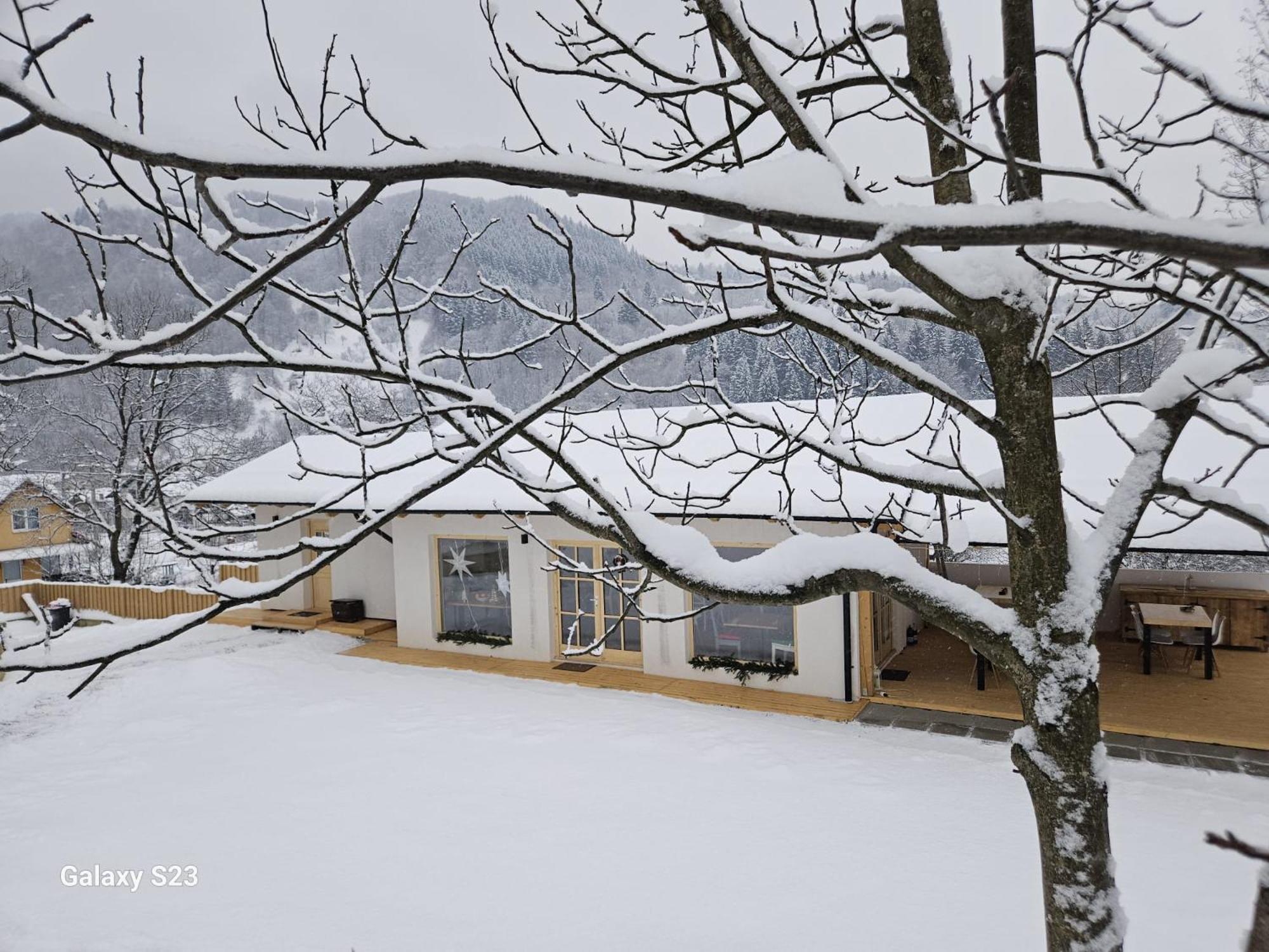Casa Mara Viseu De Sus Hotel Екстериор снимка