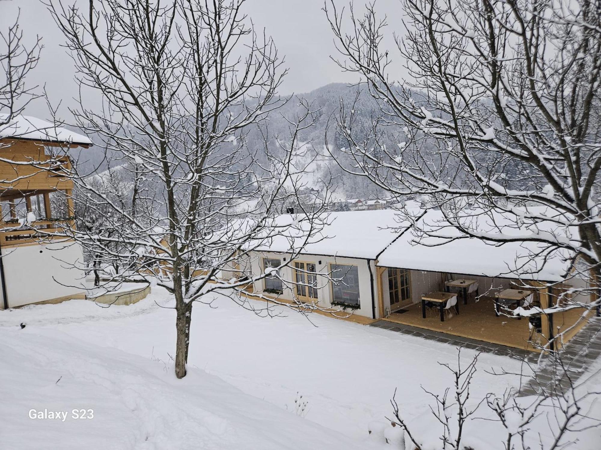 Casa Mara Viseu De Sus Hotel Екстериор снимка