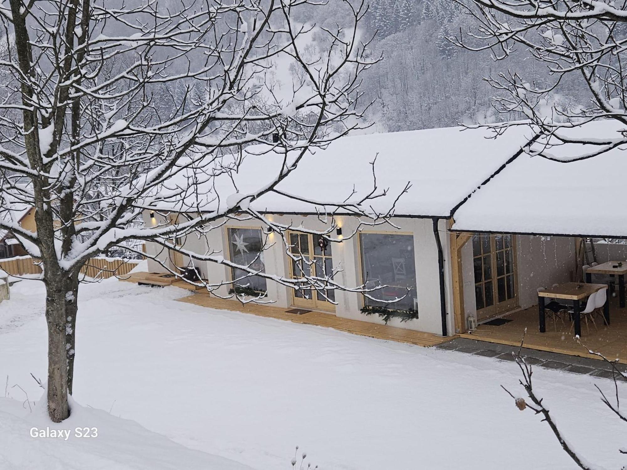Casa Mara Viseu De Sus Hotel Екстериор снимка
