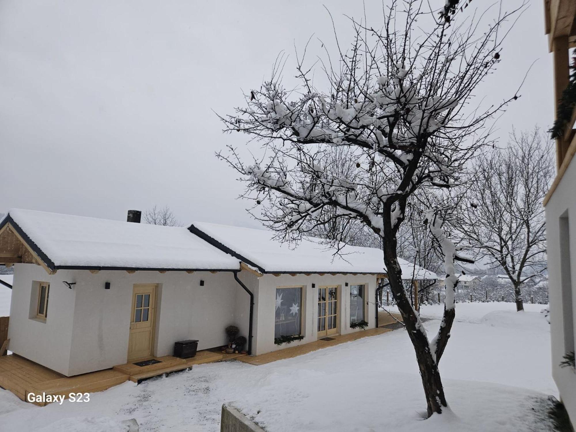 Casa Mara Viseu De Sus Hotel Екстериор снимка