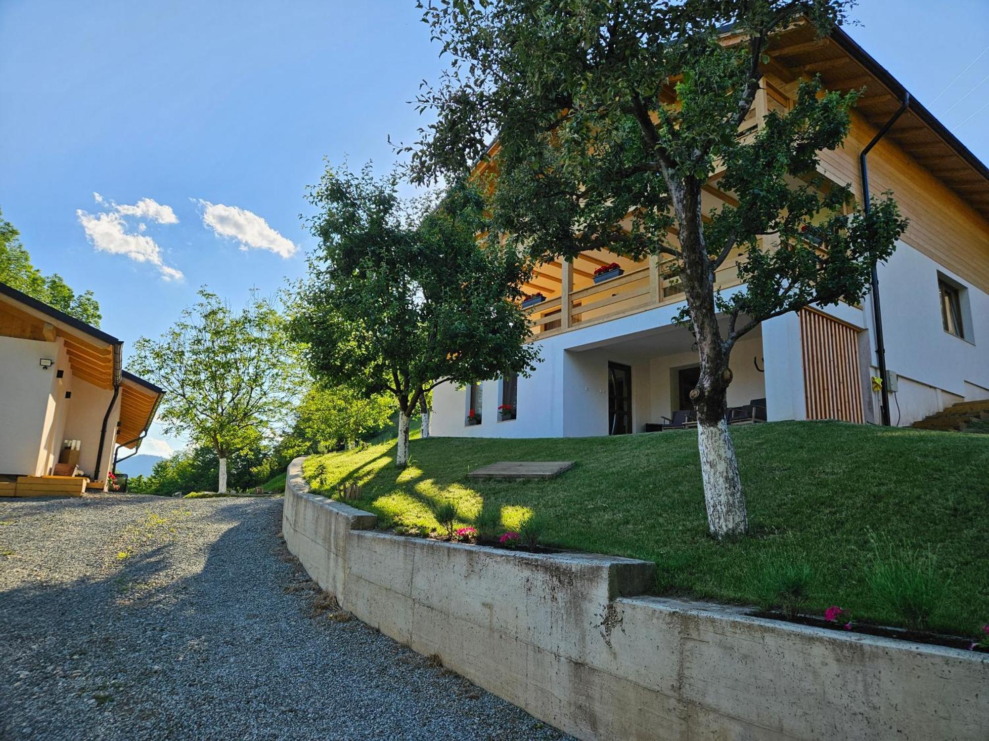 Casa Mara Viseu De Sus Hotel Екстериор снимка